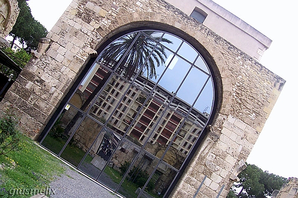 Immagine 003_rid.jpg
